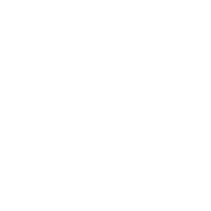 Logo Radio 101
